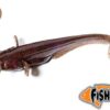 Dipovaná nástraha FishUp sumecek Catfish barva green pumpkin brown/red&purple 050