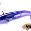 Dipovaná nástraha FishUp sumecek Catfish barva dark violet/peacock&silver 060